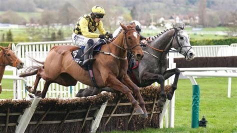 cheltenham festival champion hurdle|The Champion Hurdle at Cheltenham Festival result 2024 .